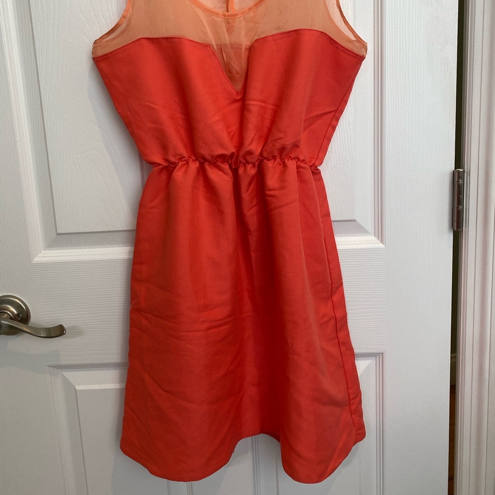 Dress - Picture 5 of 5